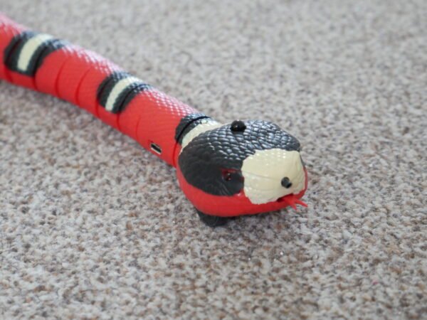 cataconda snake 2